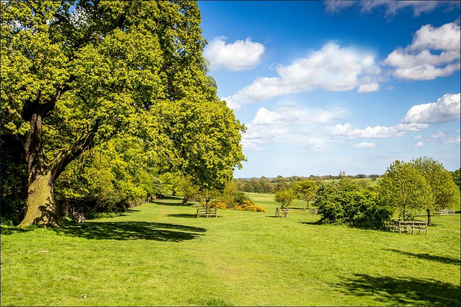 beverley westwood